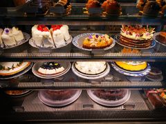 -Fern Forest Cafe