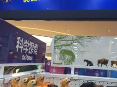 -TOYSRUS玩具反斗城(合肥万象城店)