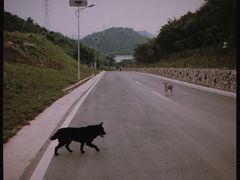 -远山有窑