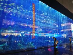 -成都浩海立方海洋公园