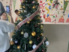 -绿壁虎攀岩基地(Tcar店)
