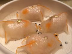 金鱼蛟-8餐厅(新葡京酒店)