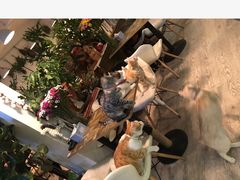 -小时光咖啡馆(北锣鼓巷店)