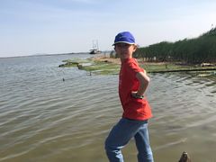 -合肥滨湖国家森林公园