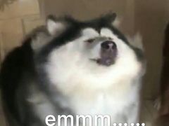 -西安交通大学口腔医院(主院区)