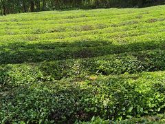 -敬亭山风景名胜区