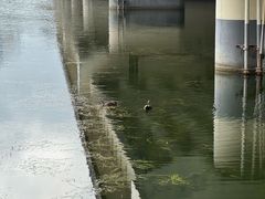 -南宁南湖公园