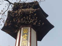 -上海佘山国家森林公园天马山园