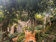 -鹿回头风景区
