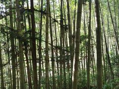 -千泷沟大瀑布旅游区