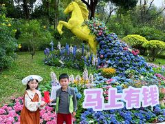 -云溪植物园