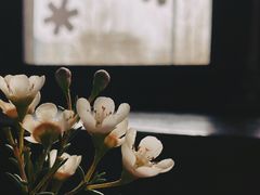-晋商博物院