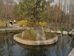 -白水寺森林公园