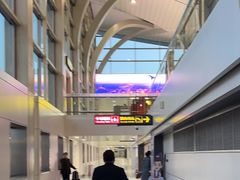 -银川河东国际机场-T1航站楼