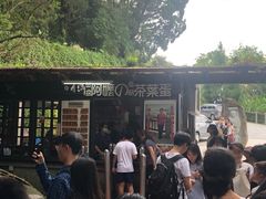 -金盆阿嬷香菇茶叶蛋(玄光店)