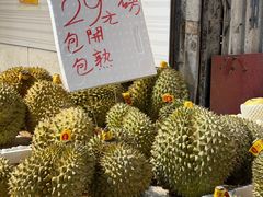 -油麻地果栏
