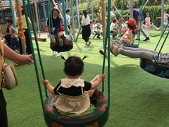 -麻涌飞鸭开心农场