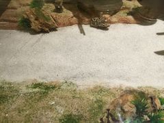 -九九私厨(石溪店)
