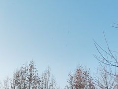 -兴芮温泉度假区