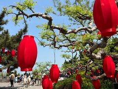 -蓬莱阁景区
