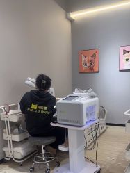 -洗脸猫·洗脸吧