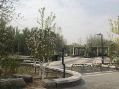 -元大都城垣遗址公园