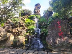 -海口火山口国家地质公园