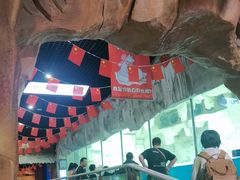 -华夏文旅海洋公园