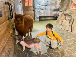 -Zoolung Zoolung动物主题公园(海信广场店)