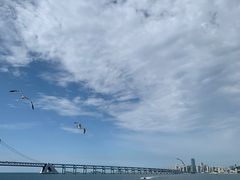 -星海广场