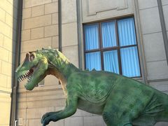 -国家自然博物馆