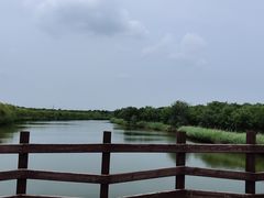 -西青郊野公园