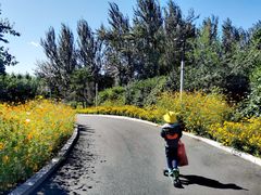 -长春公园(普阳街道)