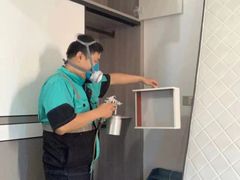 -叶子环保专业除甲醛(广州总部)