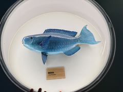 -陕西自然博物馆