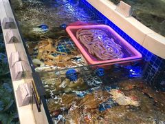 -大众海鲜(巨龙北路店)