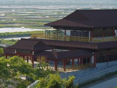 -大湾区中央湿地公园