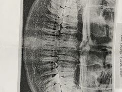 -天津医科大学第二医院