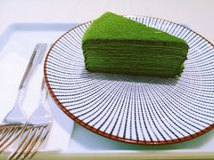 黑武士千层-王守财小山園