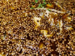 -不相离盐帮菜(郎园店)