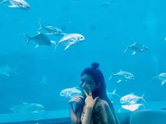 -瑞德姆美人鱼海底演艺主题餐厅(亚龙湾店)