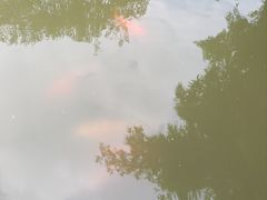 -丝绸小镇荻港古村