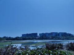 -华侨城湿地公园