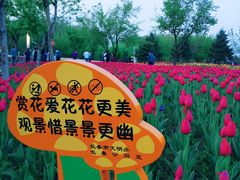 -长春公园(普阳街道)