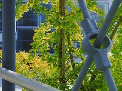 -四川大学(江安校区)