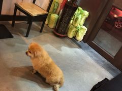 -方城烩面(机场店)