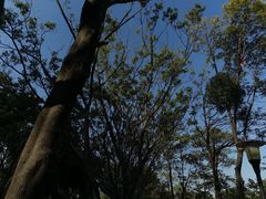 -东莞植物园