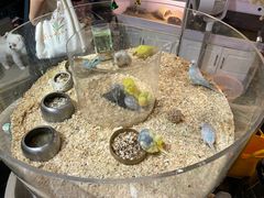 -朝来春花卉市场