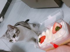 -好利来(团结湖店)