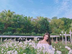 -人民公园(罗湖区)